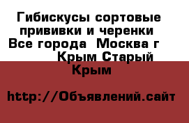 Гибискусы сортовые, прививки и черенки - Все города, Москва г.  »    . Крым,Старый Крым